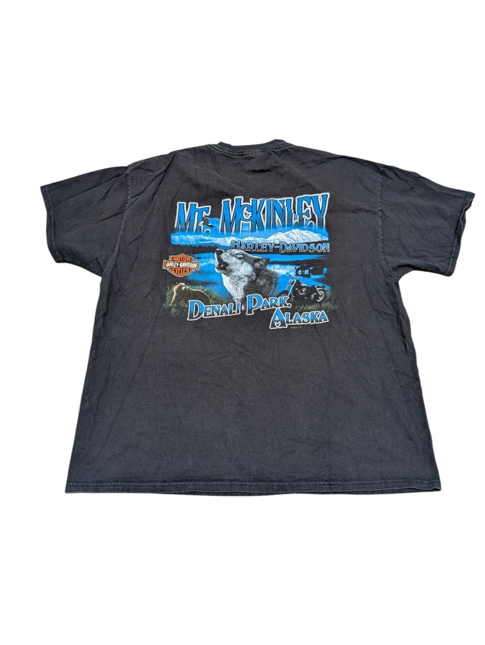 Vintage Harley-Davidson Mt. McKinley Denali Park Alaska Graphic Black Tee (XL)